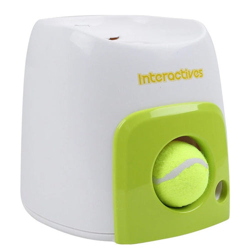 Interactive Toys