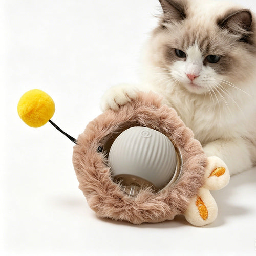 premium pet products collection