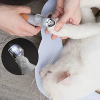 Dog and Cat LED light with Nail Clippers and Magnifying Glass