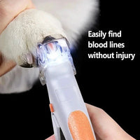 Dog and Cat LED light with Nail Clippers and Magnifying Glass